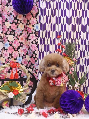 20250105フーちゃん